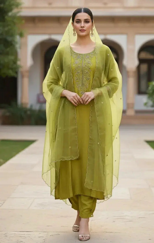 Woman in olive green embroidered silk salwar kameez with sheer dupatta, courtyard setting