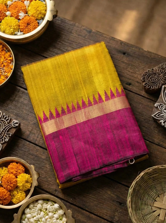 Pure Raw Silk Saree - SOL BY SMITHA